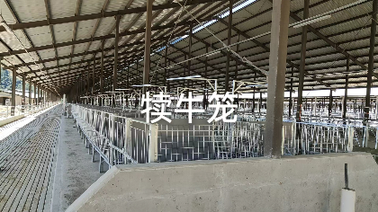 װţ.png